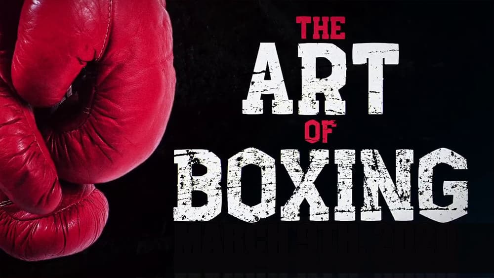 Art of Boxing Görsel