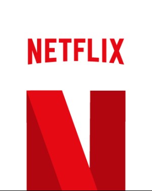 Netflix 100 TL