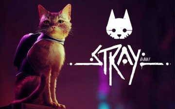 Stray Nedir?