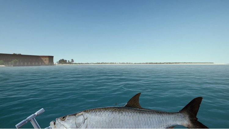 Ultimate Fishing Simulator - Florida DLC