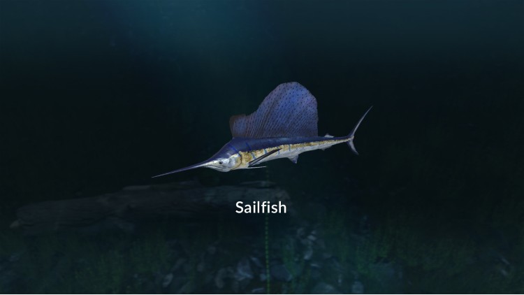 Ultimate Fishing Simulator - New Fish Species